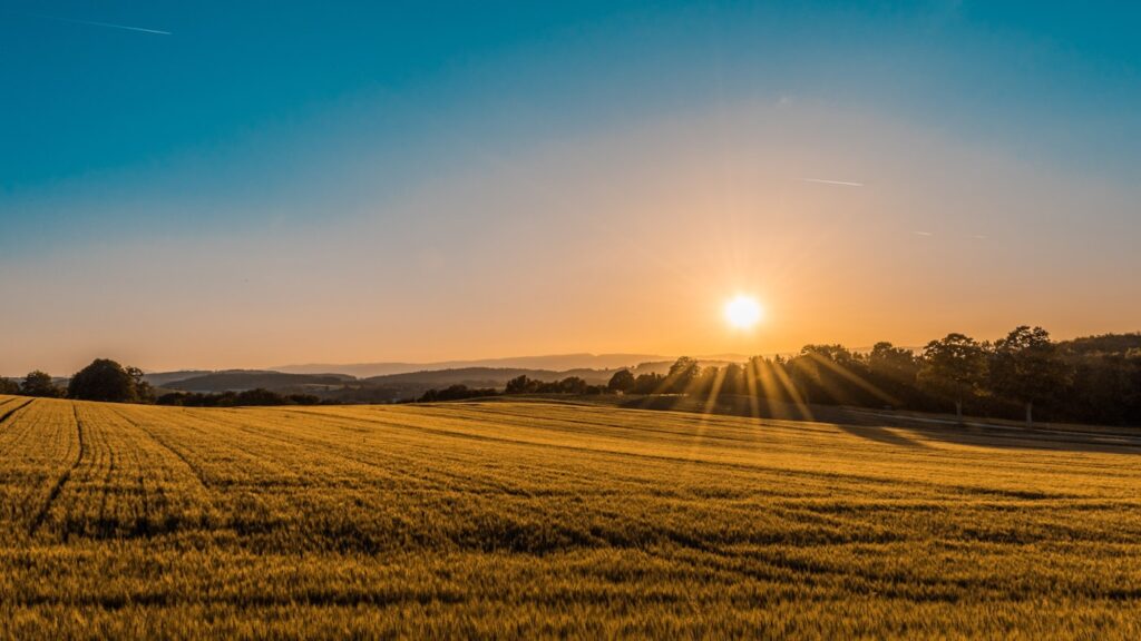تصویر موضوع پاییزی